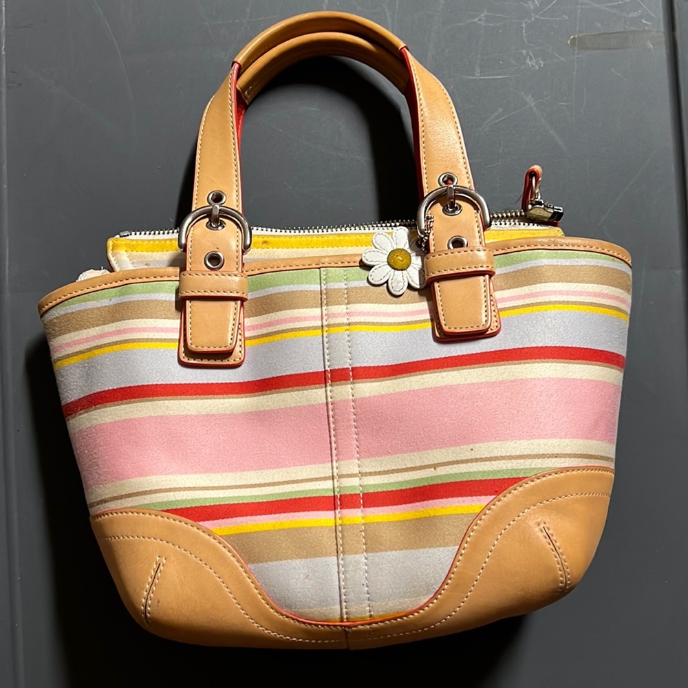 Coach Hampton Daisy stripped Vachetta